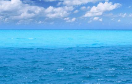 Из чего состоит морская вода: состав в процентах и плотность Просто соленая вода